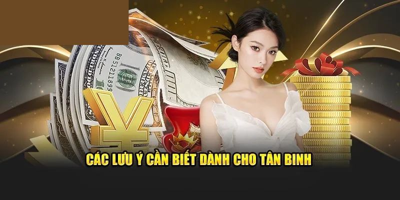 Những kiến thức cần nhớ khi chuyển vốn nhà cái