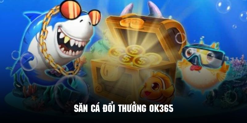 Giải đáp thắc mắc của hội viên Ok365 với việc giải trí trực tuyến