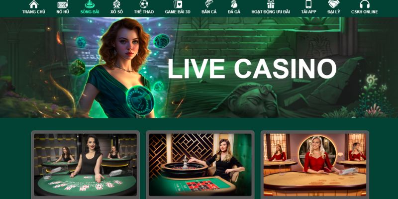 Tổng quan về casino OK365